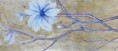 /album/productes-amb-el-30-/web-10096-jpg/